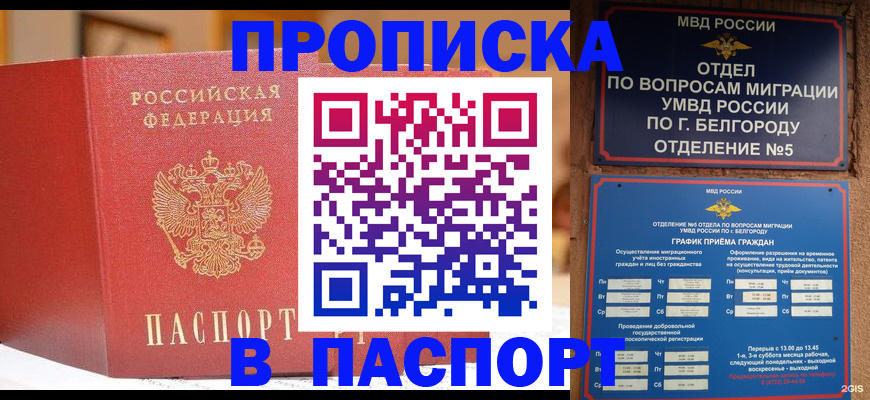 временная регистрация в квартире в Кузнецке